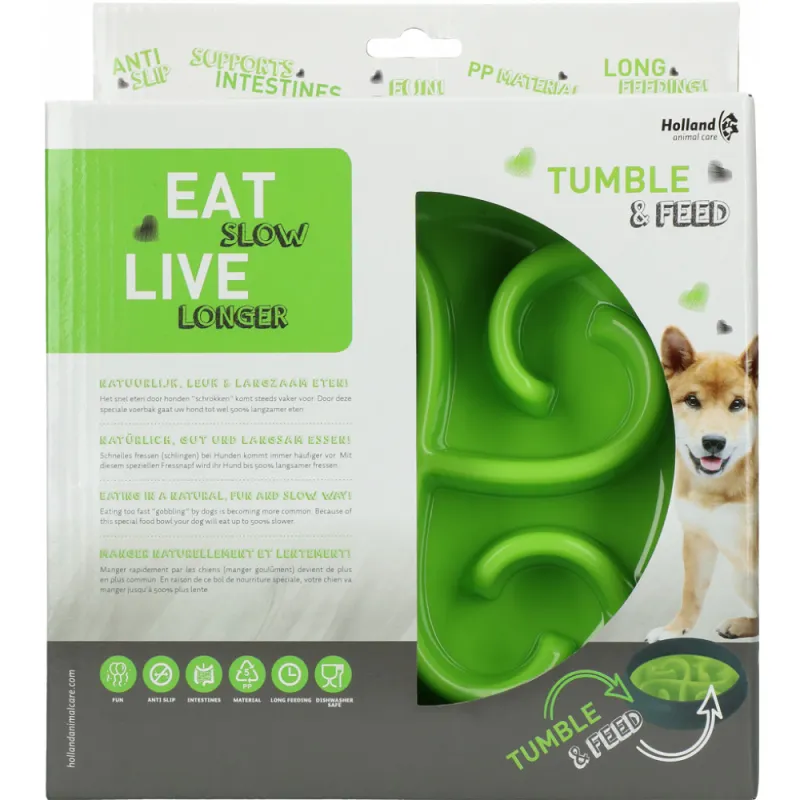 Slow feeding bowl, great for greedy dogs, essential pet accessory