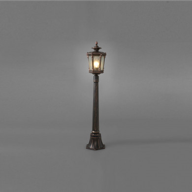 AMUR I 4694 standing post
