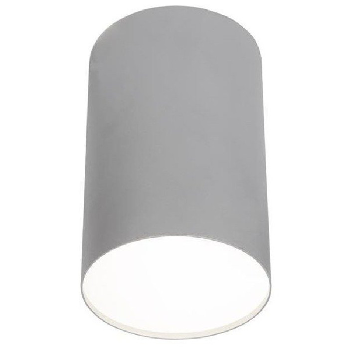 Lampa sufitowa/spot POINT PLEXI SILVER L śr.13cm 6531