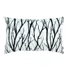 Black Branches Winter Forest