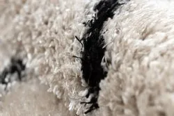Dywan FLUFFY 2371 shaggy paski - krem / antracyt