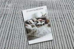 Dywan BLISS Z206AZ256 jasnoszary / szary - Linie, nowoczesny, strukturalny 
