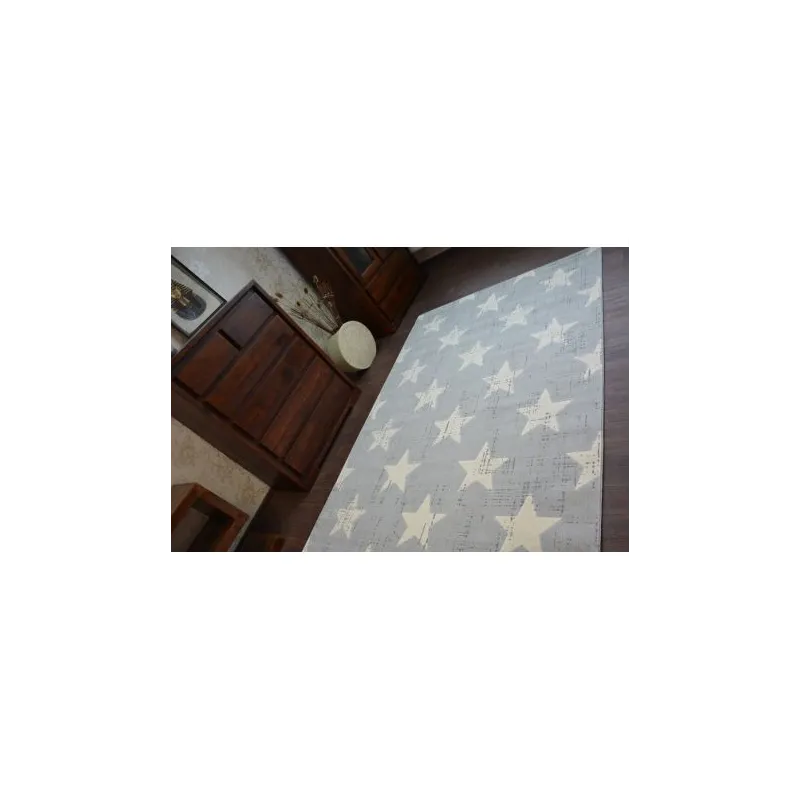 SCANDI Rug 18209/052, perfect for modern interior design and decor