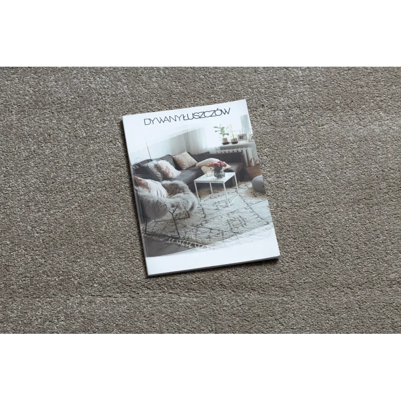 Modern beige rug perfect for living room decor