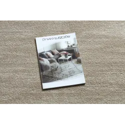 Contemporary SOFT 6460 T70 13 rug in elegant white color