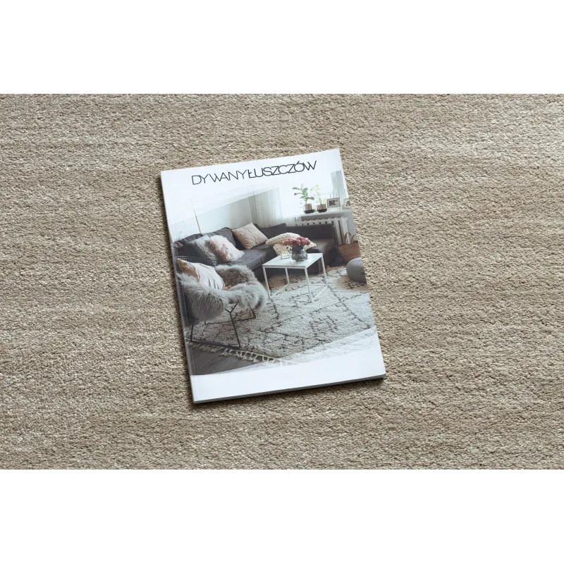 Contemporary SOFT 6460 T70 13 rug in elegant white color