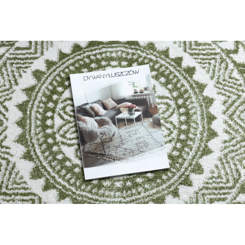 Modern green rug, perfect for living room or bedroom