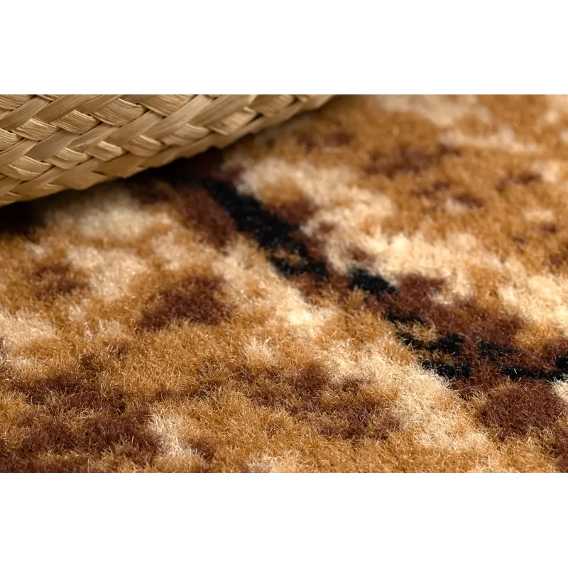 Morad Wood Beige Polypropylene Rug