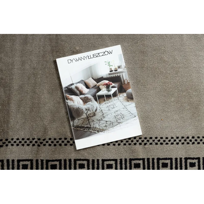 AMOUR 53098A rug with an elegant design, made from high-quality materials