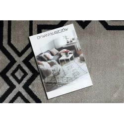 AMOUR 53071A beige modern rug, suitable for garden or patio