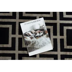 Stylish AMOUR 53078B rug in black for living room or bedroom