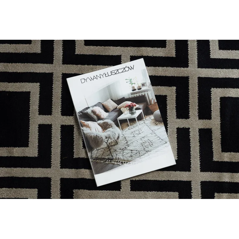 Stylish AMOUR 53078B rug in black for living room or bedroom