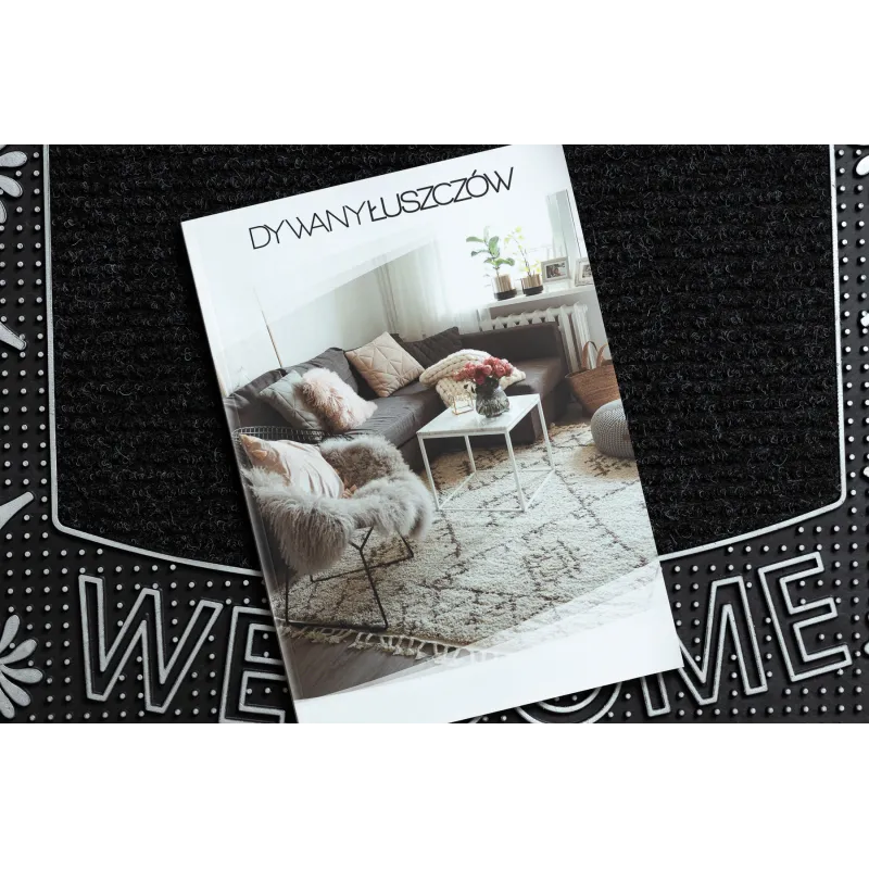 Modern Welcome Doormat BH 224W in silver, stylish for any entrance