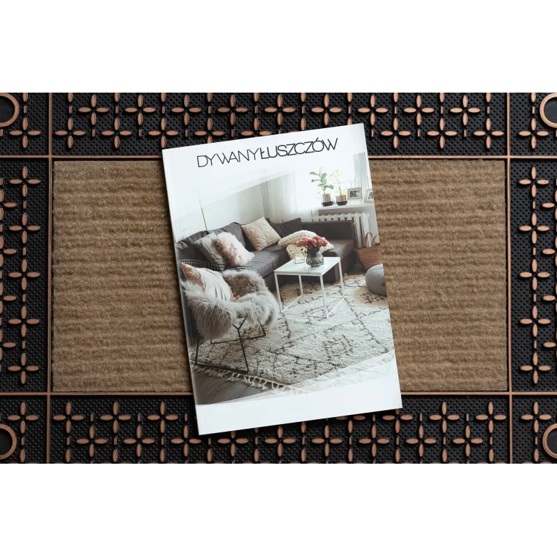 Brown BH 207 door mat with modern design and rubber base