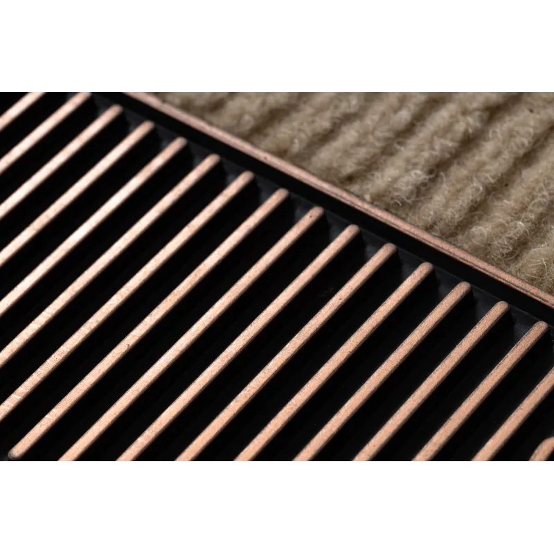 Home doormat, brown, modern, fits any interior