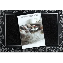 Silver Welcome Door Mat BH 219W, modern style, perfect for hallways