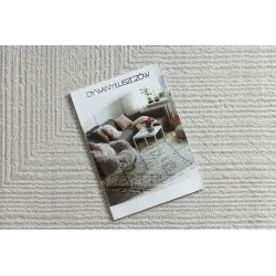 BALANCE 8788 rug with structural texture, perfect for modern home decor