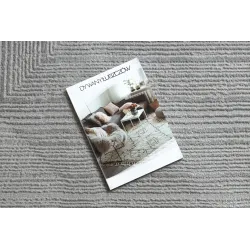 BALANCE 8788 Grey rug with structural design, perfect for modern decor