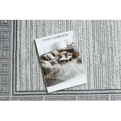 Elegant light grey rug, perfect for contemporary home decor