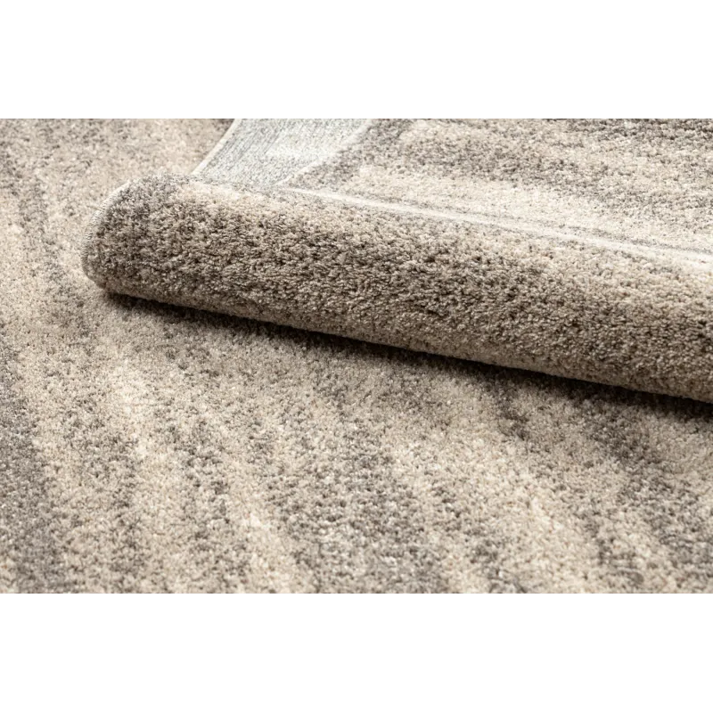 FUSION 8893 rug, perfect for living room or bedroom, modern style