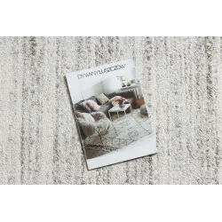FUSION 7156 Cream Rug, stylish modern carpet in cream color