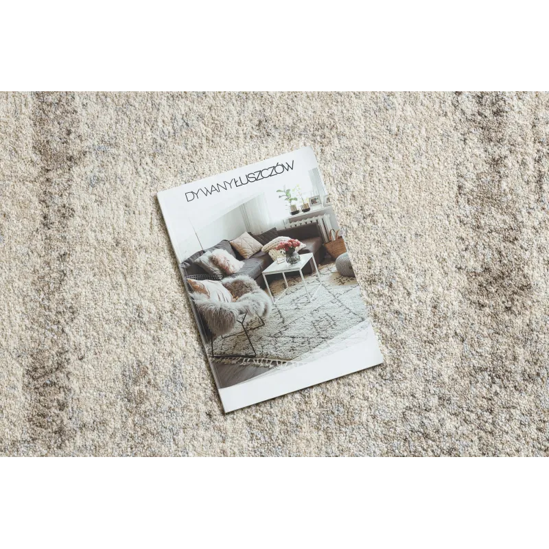 Cream and beige FUSION 8255 rug - elegant vintage style