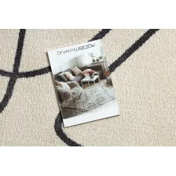 Stylish rug in cream and gray shades, modern design