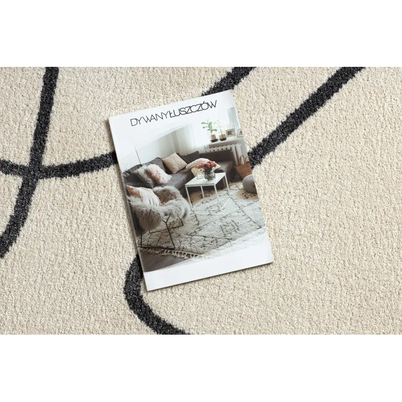 Stylish rug in cream and gray shades, modern design