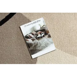 Contemporary FUSION 9213 rug in beige tones, stylish home decor