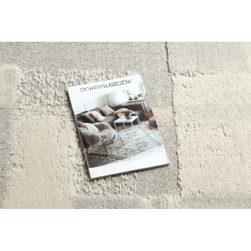 Stylish wool rug FLUX 461.43 in cream and grey colors