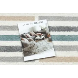 Modern FUSION 5711 rug in white and dark green, perfect for living rooms or bedrooms