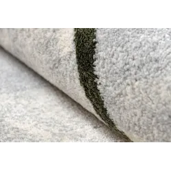 ALLURE 9980 rug for bedroom, elegant modern beige and green