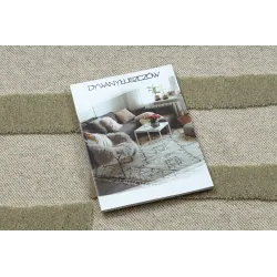 Stylish FLUX 461.109.SA400 rug in beige and green loft style