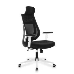 Manager 3.9 Black Ergonomic Office Chair