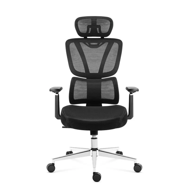Expert 4.6 Black Ergonomic Gaming Chair 2