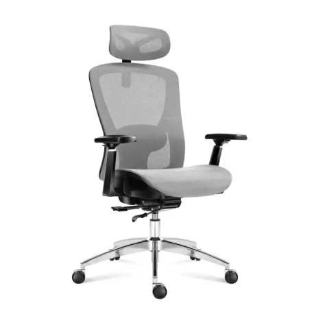 Expert 5.3 Grey Mesh ergonomic office chair, perfect for gaming and work