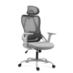 Manager 2.9 Grey Ergonomic Office Chair