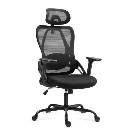 Manager 2.9 Black ergonomic office chair with adjustable features, office chairs