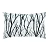 Black Branches Winter Forest