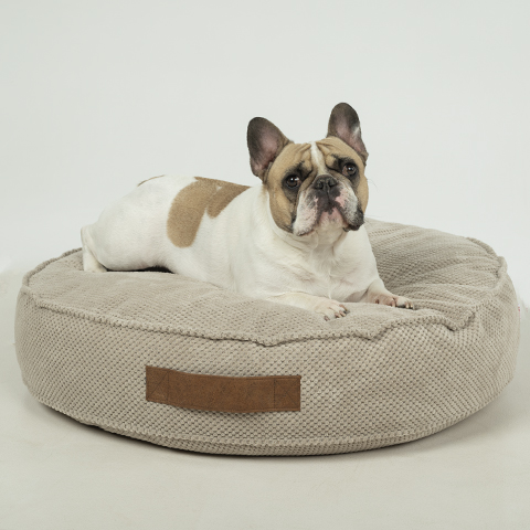 Dogs bed