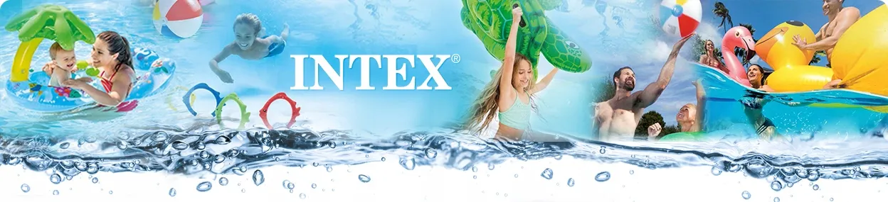 Filter for INTEX pool pump type H - 29007