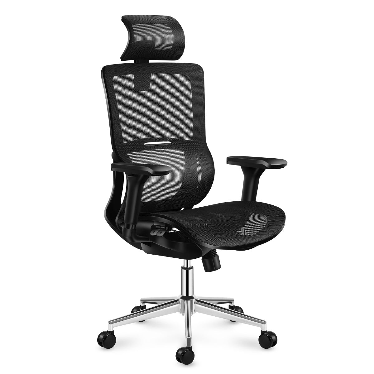 Right front angle Expert 6.2 Black